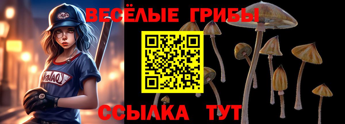 Псилоцибиновые грибы мухоморы Клин